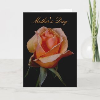 Orange Rose 3 Mother's Day zazzle_card