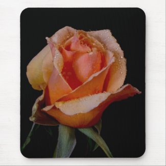 Orange Rose 3 zazzle_mousepad