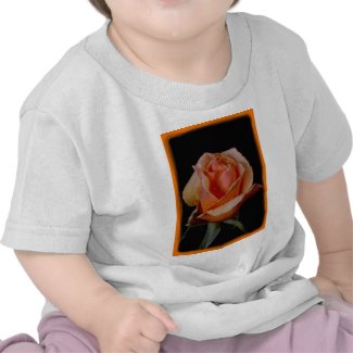 Orange Rose 3 zazzle_shirt