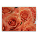 Orange Rose Bouquet Card by cherylarogers Orange Rose Bouquet Card