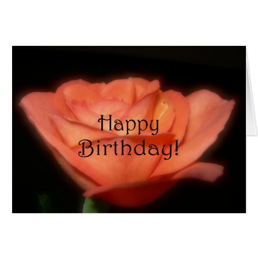 orange rose greeting card