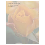 Orange Rose DSC3450 Customized Letterhead