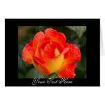 Orange Rose Floral Greeting Card