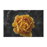 Orange rose gallery wrap canvas