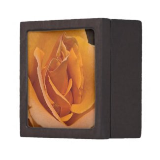 Orange Rose Gift Box planetjillgiftbox