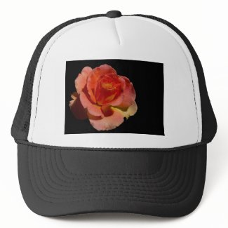 Orange Rose zazzle_hat