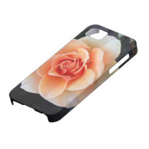Orange Rose iPhone Case iPhone 5 Covers