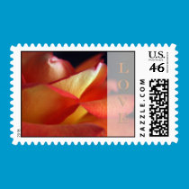 Orange Rose Love stamps