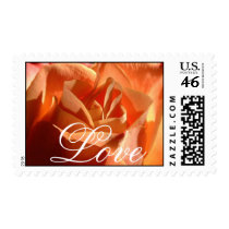 Orange Rose Love stamp medium by bkang22 Orange Rose Love stamp medium
