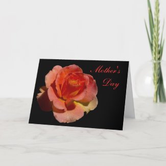 Orange Rose Mother's Day zazzle_card