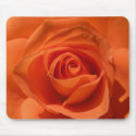Orange Rose Mousepad by debinSC Orange Rose Mousepad