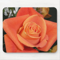 orange rose mousepad