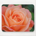 Orange Rose Mousepad