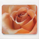 Orange Rose Mousepad by cherylarogers Orange Rose Mousepad