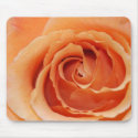 Orange Rose Mousepad (Version B) by cherylarogers Orange Rose Mousepad (Version B)
