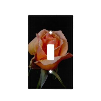Orange Rose on Black Switch Plate Cover