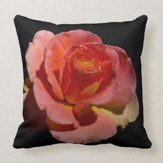 Orange Rose Pillow