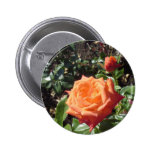 Orange Rose Pinback Button