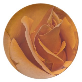 Orange Rose Plate plate