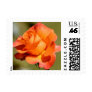 Orange Rose Postage