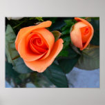 Orange Rose Print