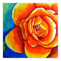 Orange Rose Print posters