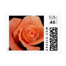 Orange rose stamp