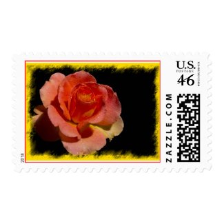 Orange Rose Stamp1
