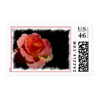 Orange Rose Stamp 2 zazzle_stamp