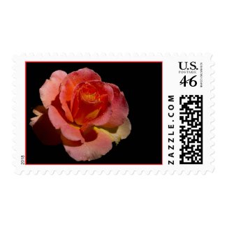 Orange Rose Stamp 3 zazzle_stamp