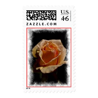 Orange Rose Stamp 4