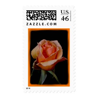 Orange Rose Stamp 5 zazzle_stamp