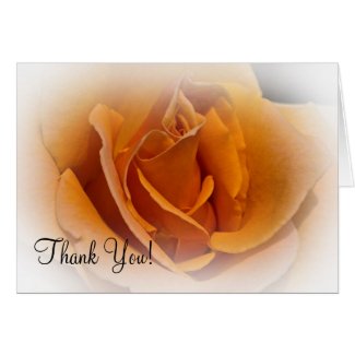 Orange Rose Thank You Card