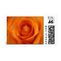 Orange Rose U.S. Postage Stamps stamp