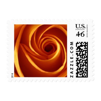 Orange Rose Wedding Postage Stamp Orange Rose Wedding Postage Stamp