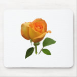Orange Rosebud Mouse Pad