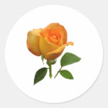 Orange Rosebud Stickers