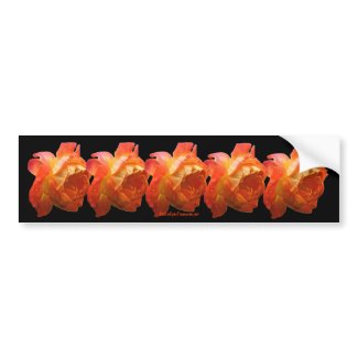 Orange Roses Flower Photo Bumper Sticker bumpersticker