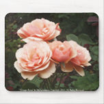 Orange Roses Mousepad