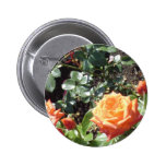 Orange Roses Pinback Buttons
