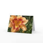 "Orange Ruffled Daylily" Card