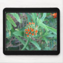 Orange Sage mousepads by gotalife Orange Sage mousepads