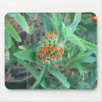 Orange Sage mousepads