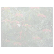 Orange Scarlet poinsettia plant flowers Letterhead
