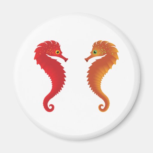 orange seahorses magnets