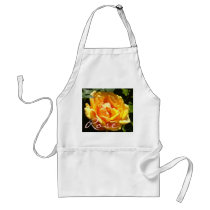 Orange Sherbet Rose aprons