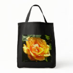 Orange Sherbet Rose Orange Sherbet Rose
