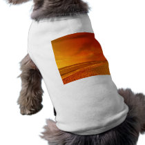 Orange sky Meets Sea pet clothing by Debrene Orange sky Meets Sea pet clothing