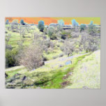 orange sky print