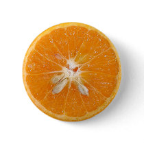 orange slice photo buttons by littlethings orange slice photo buttons